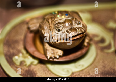 Close-up of a chan chu, Qingdao, Shandong Province, China Banque D'Images