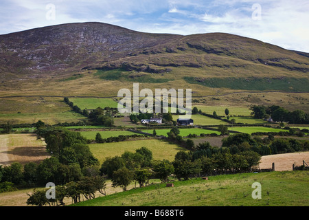 Scène rurale typique et ferme isolée dans les montagnes de Mourne près de Bryansford, comté de Down, Irlande du Nord Banque D'Images