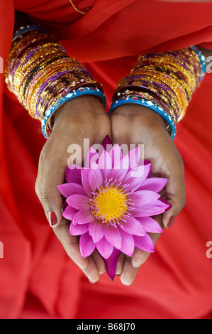 Femme indienne offrant un Nymphaea nénuphar Tropical flower in her creux des mains. L'Andhra Pradesh, Inde Banque D'Images