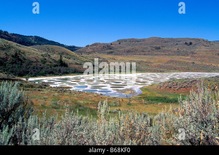 Lac tacheté est un minéral Lake près d'Osoyoos, dans le sud de la vallée de l'Okanagan en Colombie-Britannique, Canada Banque D'Images