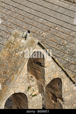 Toit de l'abbaye de Montmajour (12ème siècle), près d'Arles, Provence, France Banque D'Images