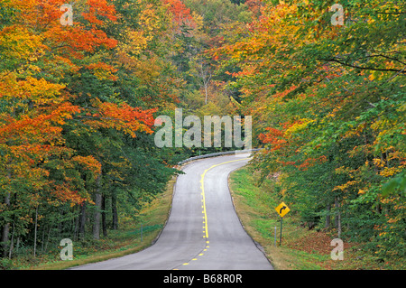 New England back road through tunnel de couleurs d'automne White Mountain National Forest New Hampshire USA Banque D'Images