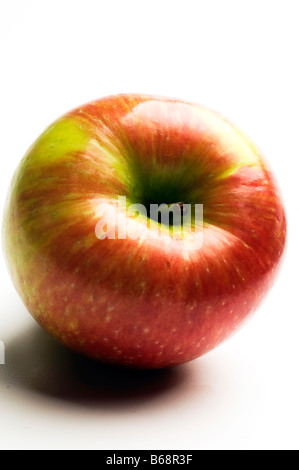 Variété de pommes honeycrisp crisp juteuse et sucrée un croisement entre l'or et de miel macoun cultivés au Canada Banque D'Images