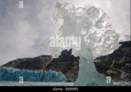 La Forêt nationale Tongass en Alaska USA Tracy Arm gués terreur désert de forme irrégulière cebergs flottant près du glacier face à Dawes Banque D'Images