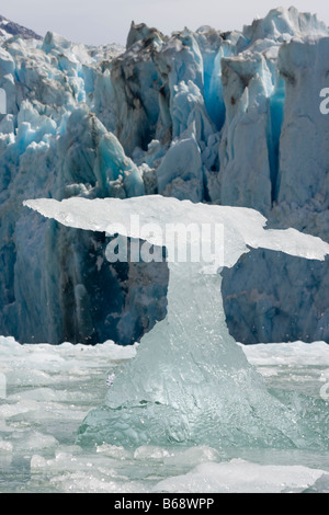 La Forêt nationale Tongass en Alaska USA Tracy Arm gués terreur désert de forme irrégulière cebergs flottant près du glacier face à Dawes Banque D'Images