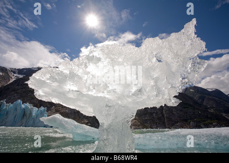 La Forêt nationale Tongass en Alaska USA Tracy Arm gués terreur désert de forme irrégulière cebergs flottant près du glacier face à Dawes Banque D'Images