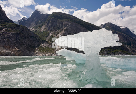 La Forêt nationale Tongass en Alaska USA Tracy Arm gués terreur désert de forme irrégulière cebergs flottant près du glacier face à Dawes Banque D'Images