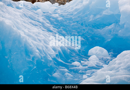 La Forêt nationale Tongass en Alaska USA Tracy Arm gués terreur désert bleu profond d'icebergs au sud du glacier Sawyer Banque D'Images