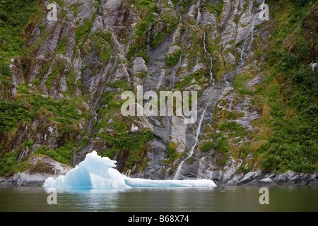 USA Alaska Wilderness South Sawyer gués la terreur de l'iceberg bleu glacier Sawyer à Holkham Bay Banque D'Images