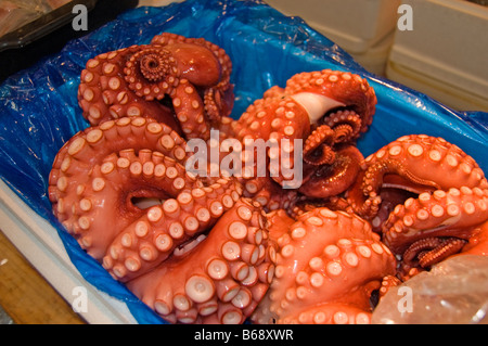 Octopus à shijo Tsukiji fish market in Tokyo Japon fruits de mer Banque D'Images