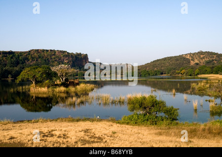Le parc national de Ranthambore. Le Rajasthan. L'Inde Banque D'Images