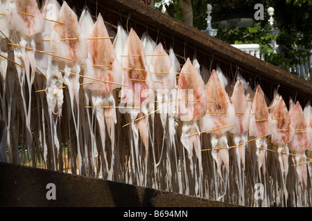 Octopus séché, asie, poisson, nourriture, sec, fruits de mer, asiatique, marché, traditionnel, séché, sain, cru, nutrition, poisson séchant au soleil à Hua Hin, Thaïlande, Asie Banque D'Images