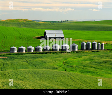 WASHINGTON - La Grange et les silos à grains dans un champ agricole dans la fertile région de l'est Washington Palouse . Banque D'Images