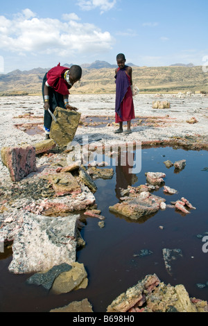 L'extraction de la soude au lac Natron en Tanzanie où Massaï et vente local extrait en plaques de sel Banque D'Images