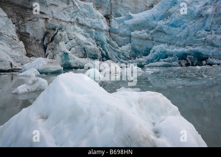 USA Alaska Glacier Bay National Park les icebergs flottant près du visage Lamplugh Glacier sur l'automne nuageux soir Banque D'Images