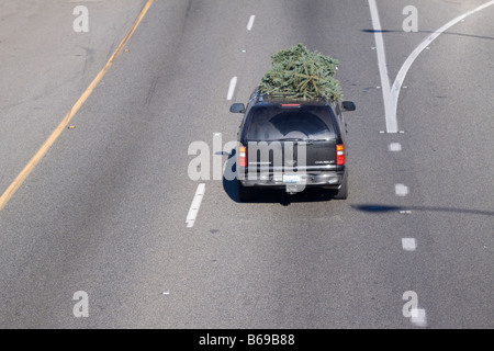 Vue aérienne d'un arbre de Noël d'être transporté sur le toit d'un VUS sur la route pendant les vacances Banque D'Images