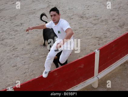 Bien sûr corrida Camarguaise St Marie de la Mer Camargue France Banque D'Images