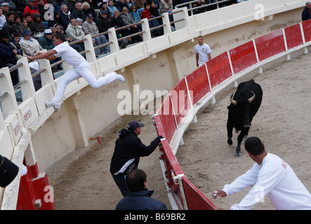 Bien sûr corrida Camarguaise St Marie de la Mer Camargue France Banque D'Images