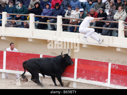 Bien sûr corrida Camarguaise St Marie de la Mer Camargue France Banque D'Images