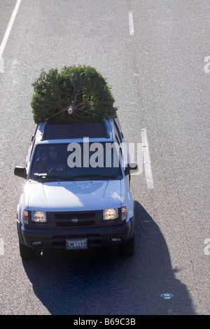 Vus blanc sur la route de haler un arbre de Noël sur le toit pendant les vacances Banque D'Images