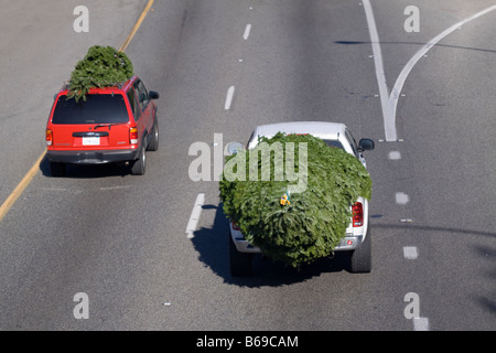 Les arbres de Noël sur le dessus d'un SUV et d'un camion sur l'autoroute est transporté à la maison pour les vacances Banque D'Images