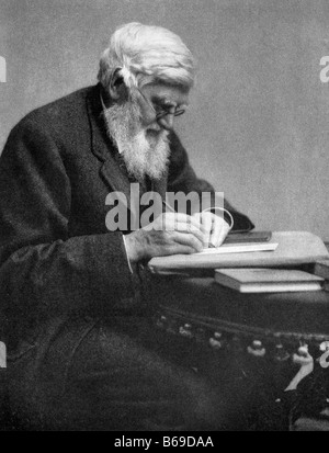 ALFRED RUSSEL WALLACE, naturaliste anglais/explorer 1823 à 1913 qui a développé une théorie de l'évolution indépendamment de Darwin Banque D'Images