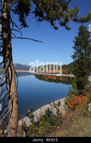 Le lac Jackson, Parc National de Grand Teton, Wyoming Banque D'Images