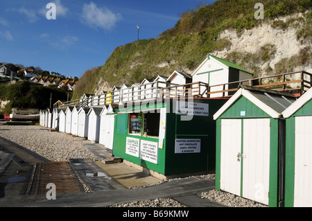 Café et cabines de plage sur la Côte Jurassique à la bière, près de Seaton, dans le Devon, Angleterre, Royaume-Uni. Banque D'Images