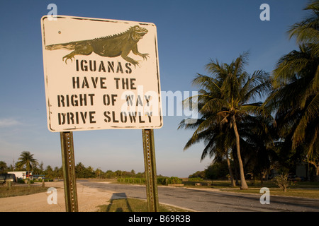 Îles Cayman Island Little Cayman Iguana Crossing Sign le long de routes de campagne Banque D'Images