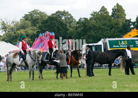 Dressage espagnol à la Romsey Show 2008 Banque D'Images