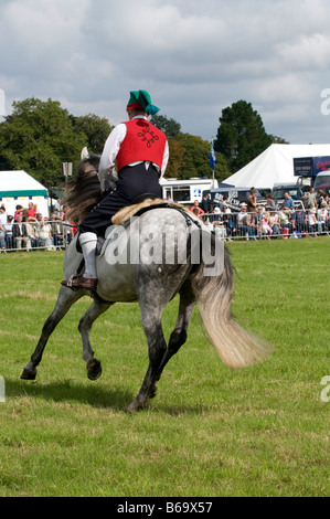 Dressage espagnol à la Romsey Show 2008 Banque D'Images