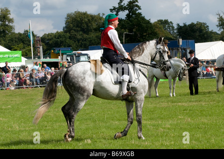 Dressage espagnol à la Romsey Show 2008 Banque D'Images