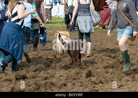 Un anglais pour l'été les gens de la boue de négociation à la Romsey Show 2008 Banque D'Images