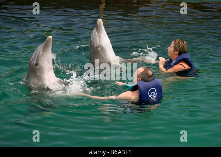 Le Mexique, Quintana Roo, Xel Ha, Xel-Ha Nature / Parc marin, les touristes la nage avec les dauphins. Banque D'Images