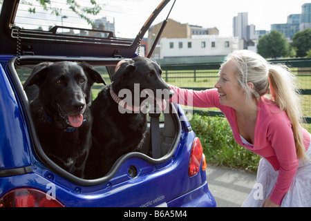 Jeune femme tapotant les chiens dans la voiture électrique Banque D'Images