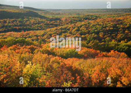 MICHIGAN - couleur d'automne des arbres sur les collines de la harde de montagnes. Banque D'Images