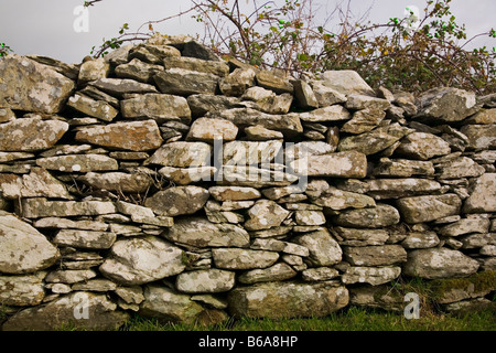 Mur en pierre sèche de l'Irlande rurale Banque D'Images