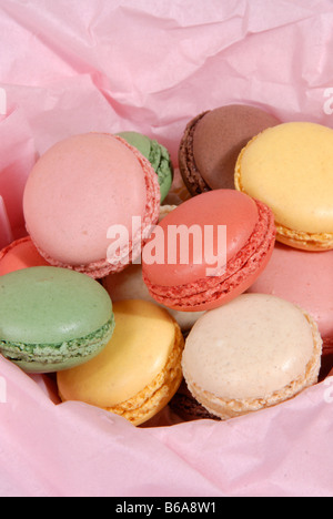 Une sélection de macarons avec différents poids (vanille, fraise, framboise, citron, chocolat et pistache) Banque D'Images