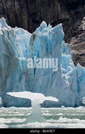 La Forêt nationale Tongass en Alaska USA Tracy Arm gués terreur désert icebergs flottant près de la face du glacier Dawes Banque D'Images