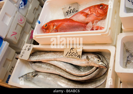 Marché aux poissons de Tsukiji shijo Tokyo Japon fruits de mer Banque D'Images