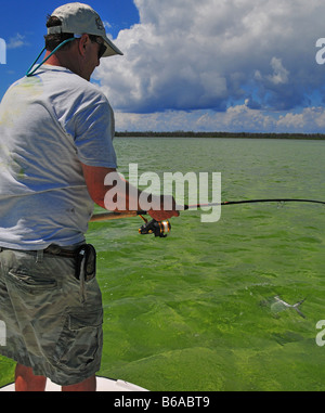 Le Bonefish est la carrière de ce pêcheur dans les appartements de faible profondeur de Bimini aux Bahamas. Le tropical sport fish aime à frapper la mouche. Banque D'Images