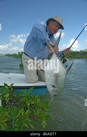 Un grand séjour est débarqué par les pêcheurs chanceux dans la claire et peu profonde des appartements Bimini aux Bahamas. Banque D'Images