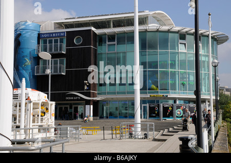 National Marine Aquarium Coxside plymouth Devon England UK Banque D'Images