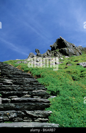 L'Irlande, le comté de Kerry, iveragh, Skellig Michael mesures pour sommet, lieu de refuge de pénitence, les oiseaux de mer,beauté dans la nature, Banque D'Images