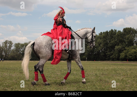 Le sport équestre. Dressage Banque D'Images