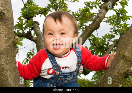 Petite fille de 13 mois sur l'arbre Banque D'Images