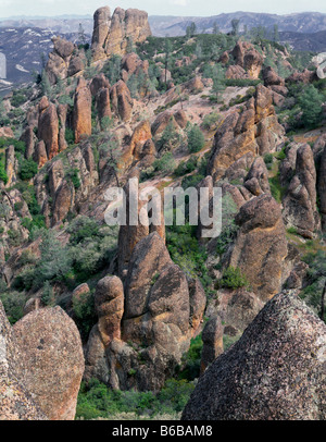 Californie - flèches rocheuses dans le Parc National de Pinnacles le long du sentier des Sommets. Banque D'Images