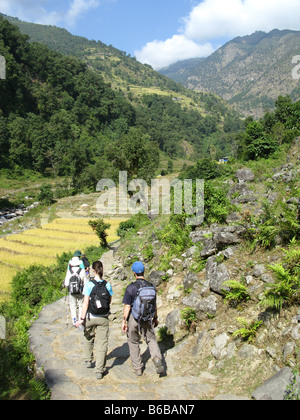 Les randonneurs passent les champs de riz dans la vallée de la rivière Bhurungdi entre Birethanti et Ulleri dans le pied de l'Annapurna, Népal Banque D'Images