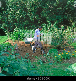 Un homme creusant des pommes de terre dans son pays biologique rural Cottage potager Carmarthenshire pays de Galles Royaume-Uni Grande-Bretagne KATHY DEWITT Banque D'Images