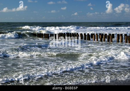 Les disjoncteurs par vague en bois Walcheren Domburg Zélande Hollande Pays-Bas Banque D'Images